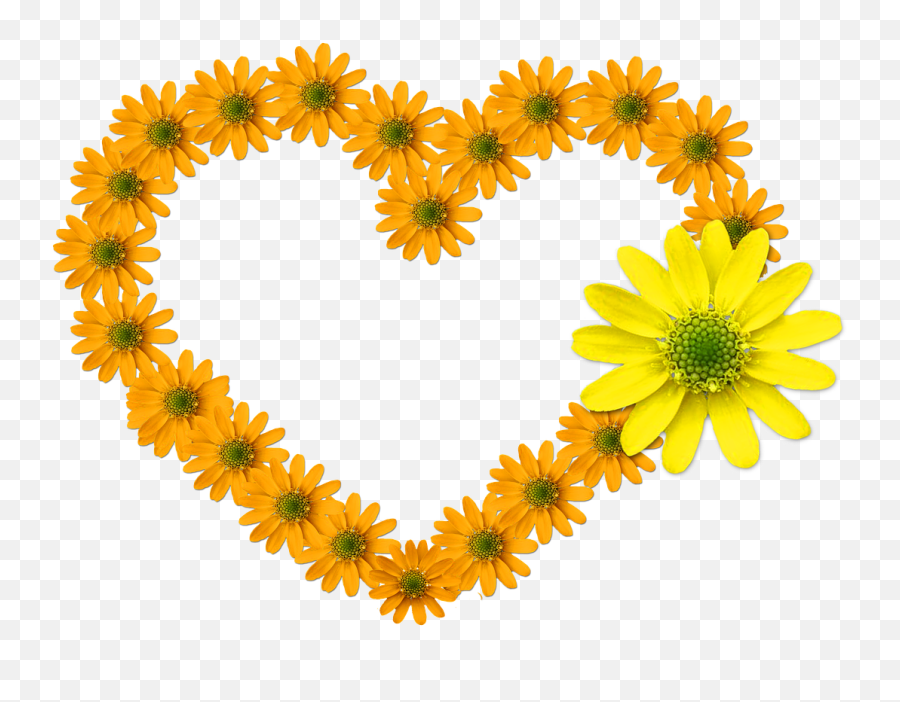 Heart Flower Heart Bloom Feelings Flowers - Corazones Dia De La Madre Emoji,Heart Emotion