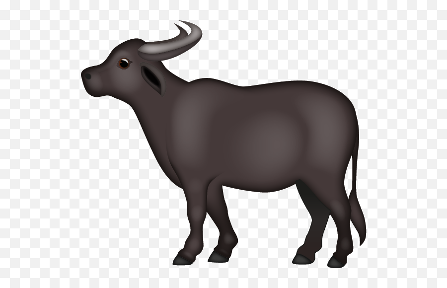 Emoji - Water Buffalo Emoji,Bull Emoji