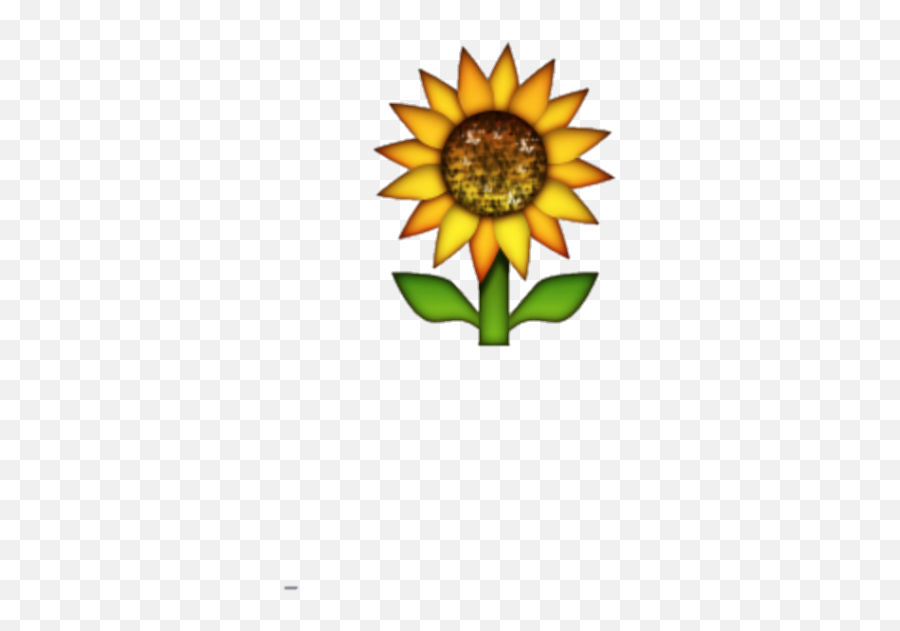 Transparent Background Sunflower Emoji - Transparent Background Sunflower Emoji,Sunflower Emoji Transparent