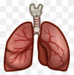 Boston Doctor Helps Create Two Emojis - Anatomical Heart
