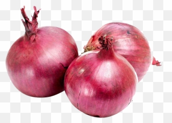 Onion Png Photo - Vegetables Images Onion Emoji,Onion Emoji