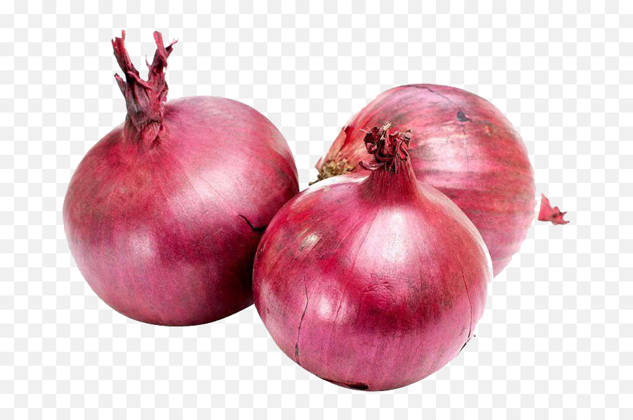 Onion Png Photo - Vegetables Images Onion Emoji,Onion Emoji