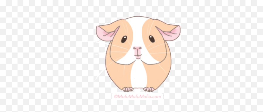 Top Guinea Pig Stickers For Android Ios - Guinea Pig Gif Transparent Background Emoji,Guinea Pig Emoji