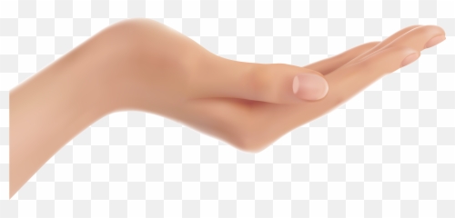 Hand Palm Up Transparent Png Clipart - Emoji