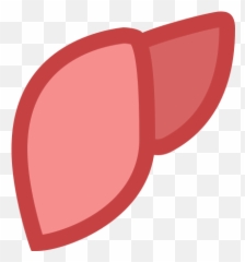 Liver Icon - Clip Art Emoji