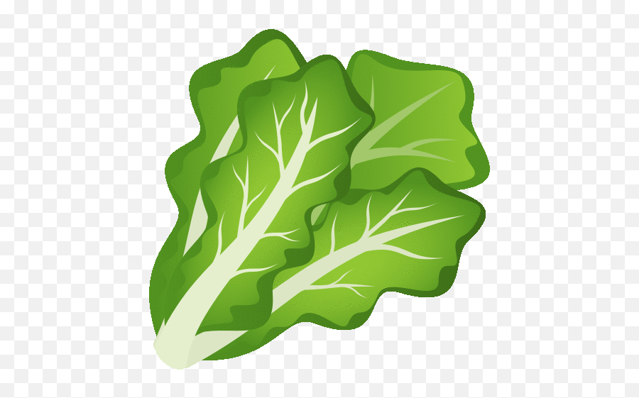 Leafy Green Food Gif - Leafygreen Food Joypixels Discover U0026 Share Gifs Fresh Emoji,Lettuce Emoji