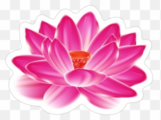 Amazing Pink Lotus Flower Sticker - Water Lily Tattoo Designs Emoji,Lotus Flower Emoji