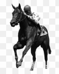 Horse Racing Png Picture - Stallion Emoji