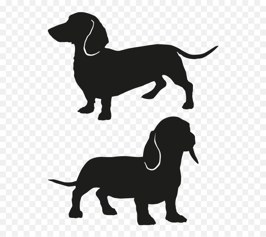 Sausage Dog - Small And Long Dog Breeds Emoji,Wiener Dog Emoji