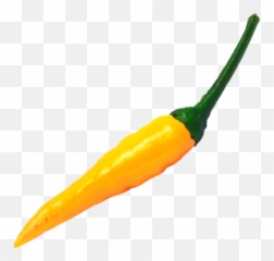 Free Chili Pepper Illustrations - Tabasco Emoji