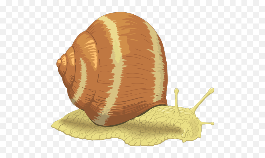 Snail Clipart Free Image - Clipart Escargot Emoji,Snail Emoji