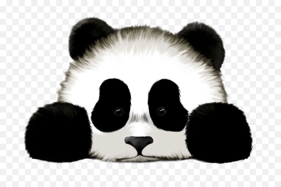Sad Panda Png Picture - Fake Pictures Of Pandas Emoji,Sad Panda Emoji