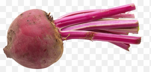 Pin by Kushalagarwal on Beet Beets Beetroot Png images - Transparent Emoji