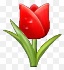 Rose Samsungemoji Flowers Flower Emoji Roseem - Tulip,Red Flower Emoji