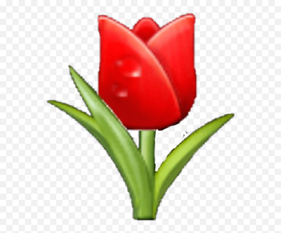 Rose Samsungemoji Flowers Flower Emoji Roseem - Tulip,Red Flower Emoji