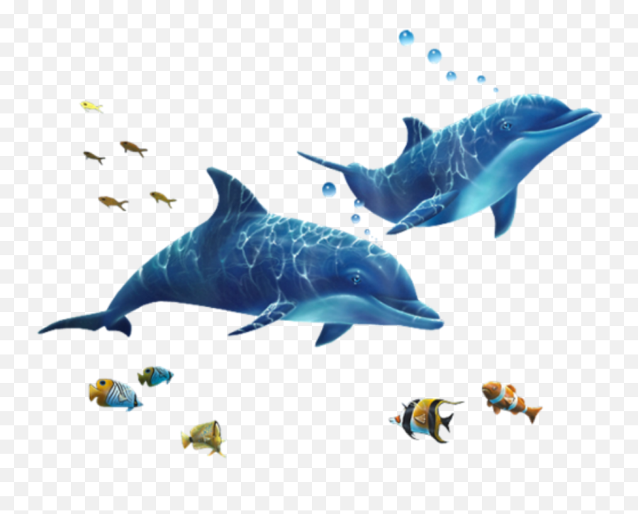 Largest Collection Of Free - Toedit Dauphins Stickers Common Bottlenose Dolphin Emoji,Miami Dolphins Emoji