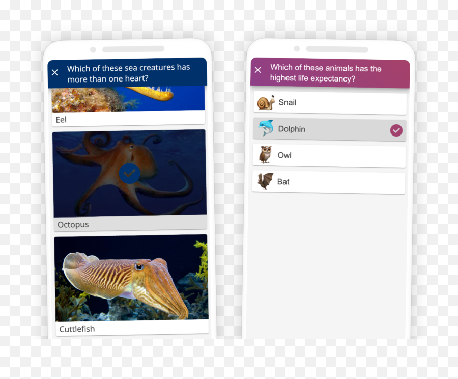 Create Interactive Quizzes In Powerpoint Slidelizard - Vertical Emoji,Eel Emoji