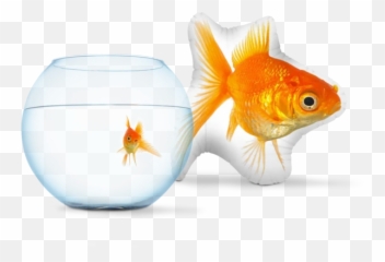 Home Of Custom Shaped - Goldfish Emoji,Goldfish Emoji