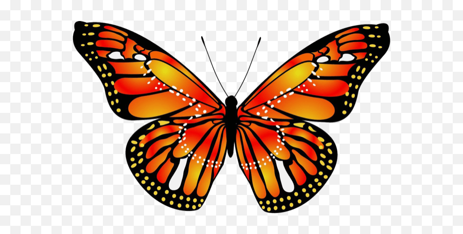 Beautiful Butterfly Sticker Pack - Red Beautiful Butterfly Png Emoji,Butterfly Emoji Ios