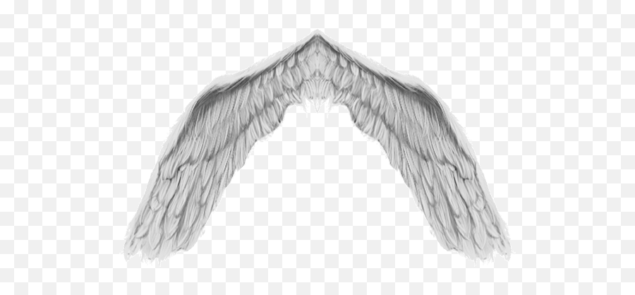 Angel Wings Gif 13 Images Download Wings Gif - Lowgif Angel Wings Gif Transparent Emoji,Angel Wings Emoji