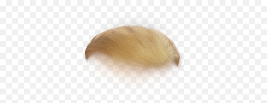 Wig Clip Toupee Transparent Png - Mouse Emoji,Trump Emoji Copy And Paste
