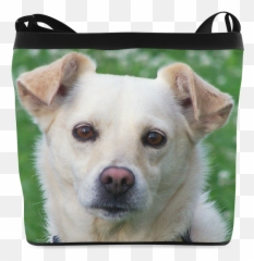Dog Faces Messenger Bag Personalized - Handbag Style Emoji,Emoji Crossbody Bag