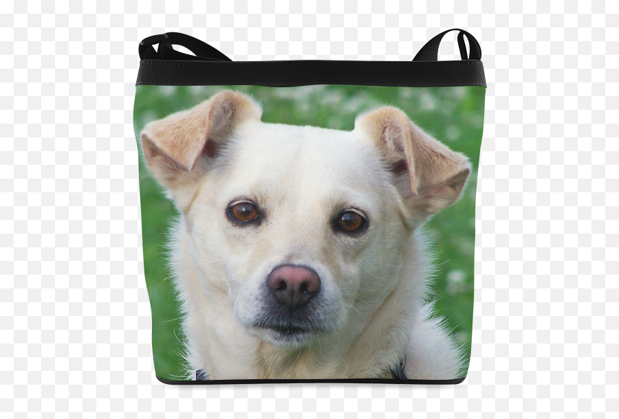 Dog Faces Messenger Bag Personalized - Handbag Style Emoji,Emoji Crossbody Bag