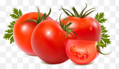 Png Transparent Tomato Png Clipart Free - Transparent Background Tomato Png Emoji,Find The Emoji Tomato