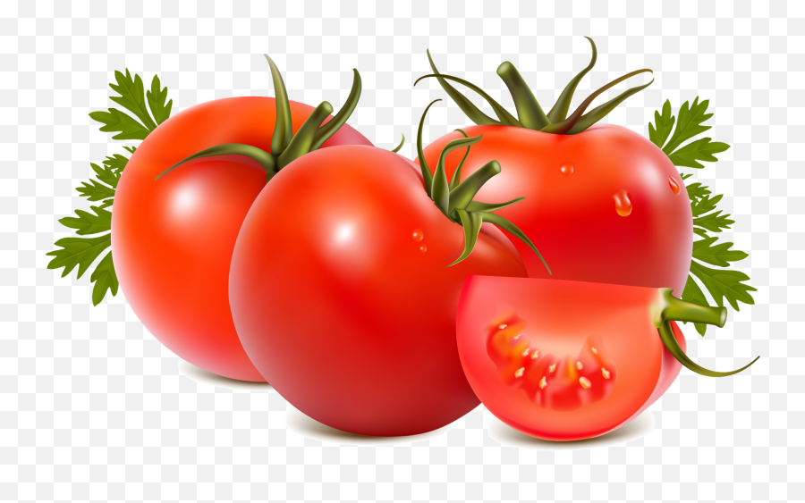 Png Transparent Tomato Png Clipart Free - Transparent Background Tomato Png Emoji,Find The Emoji Tomato