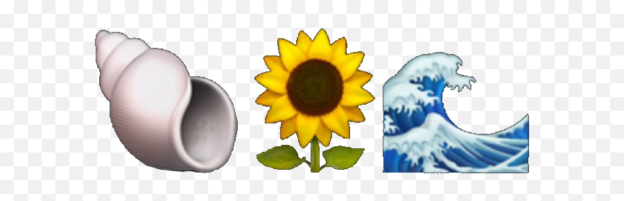 Emoji Aesthetic Tumblr Sunflower Sea Water Shell Freeto - Sunflower,Shell Emoji
