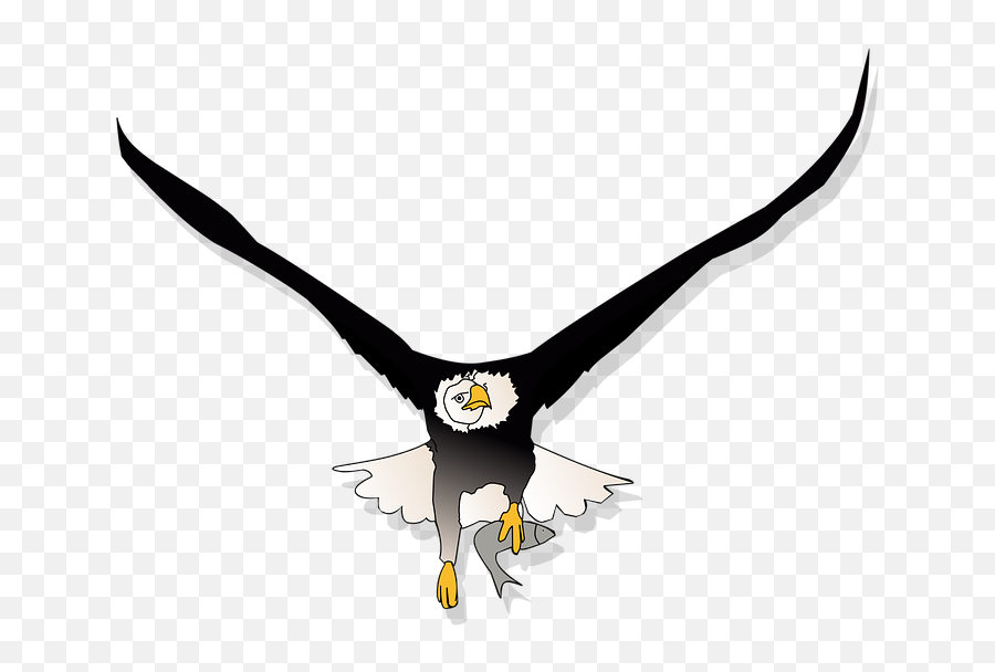 Eagle Eye Clipart Png - Eagle Eye Transparent Emoji,Eagle Emoji