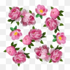 Like - Floral Emoji
