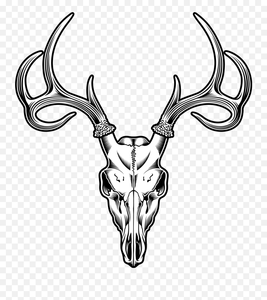 Deer Skull Drawing Illustration - Sheep Tattoo Png Download Deer Head Skull Emoji,Deer Emoticon