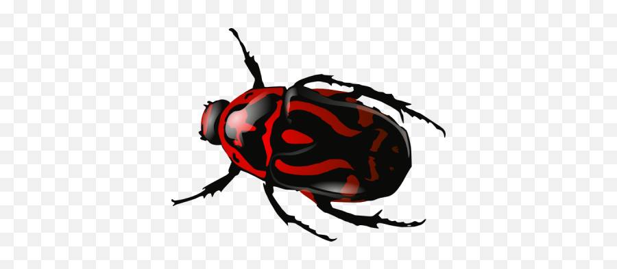 Beetle Png And Vectors For Free Download - Beetle Bug Clipart Emoji,Beetle Emoji