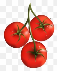 Png Transparent Tomato Png Clipart Free - Tomatoes Clipart Png Emoji,Find The Emoji Tomato