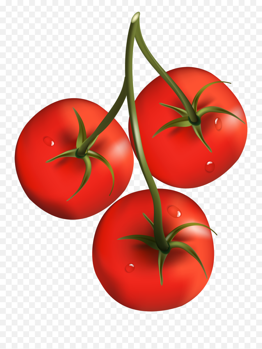 Png Transparent Tomato Png Clipart Free - Tomatoes Clipart Png Emoji,Find The Emoji Tomato