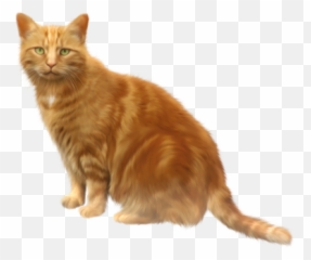Download Free Png Im - Cat Clipart Transparent Background Emoji,Kitten Emoticons