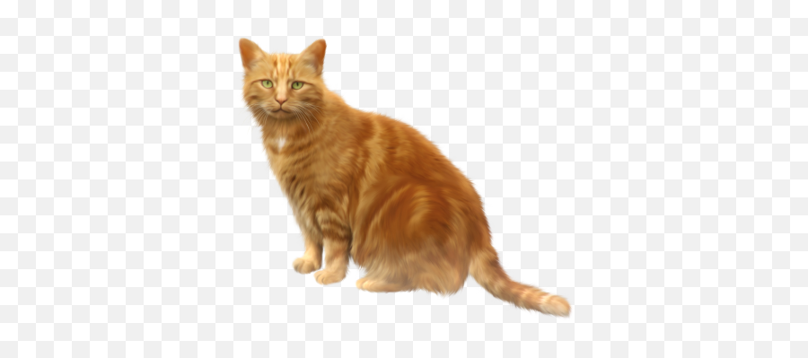 Download Free Png Im - Cat Clipart Transparent Background Emoji,Kitten Emoticons