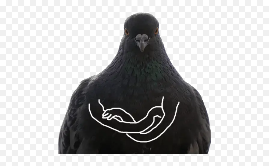 Dove With Hands Stickers For Whatsapp Emoji,Dove Emoji