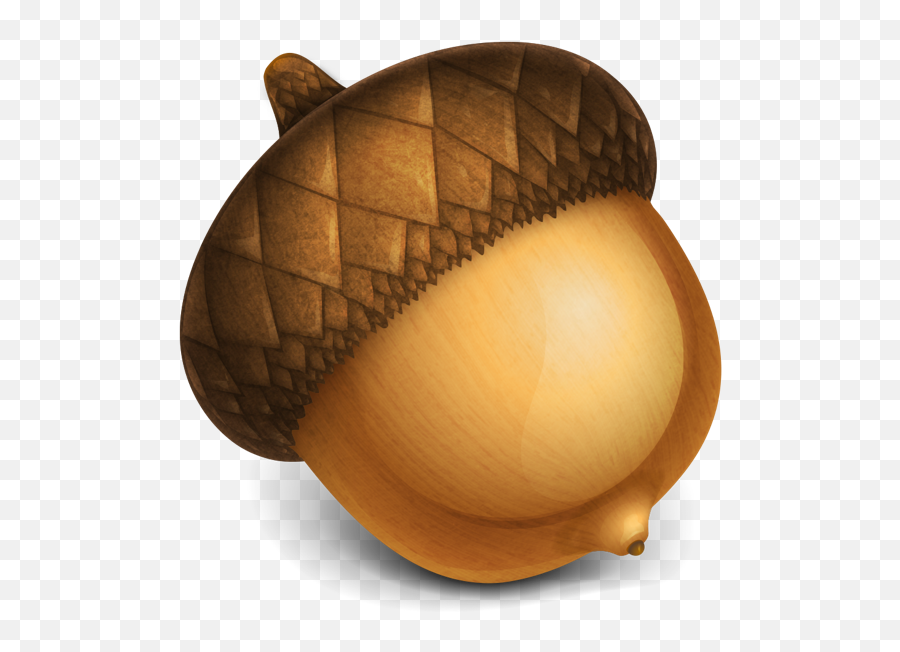 6 Image Editor - Transparent Background Acorn Clipart Emoji,Acorn Emoji