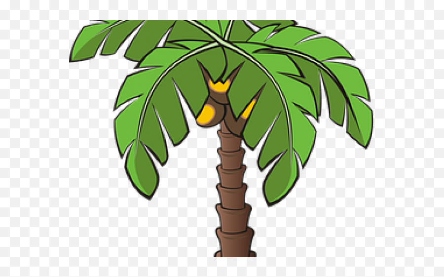 Download Pictures Of A Palm Tree - Tree Plants Clipart Palm Tree Clip Art Emoji,Palm Tree Emoji Transparent