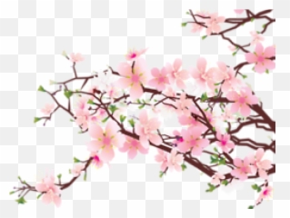 Cherry Blossom Clipart Transparent Tumblr - Sakura Tree Png Emoji