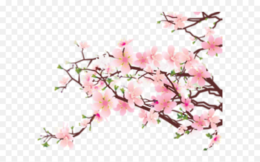 Cherry Blossom Clipart Transparent Tumblr - Cherry Blossom Sakura Tree Png Emoji,Cherry Blossom Emoticon