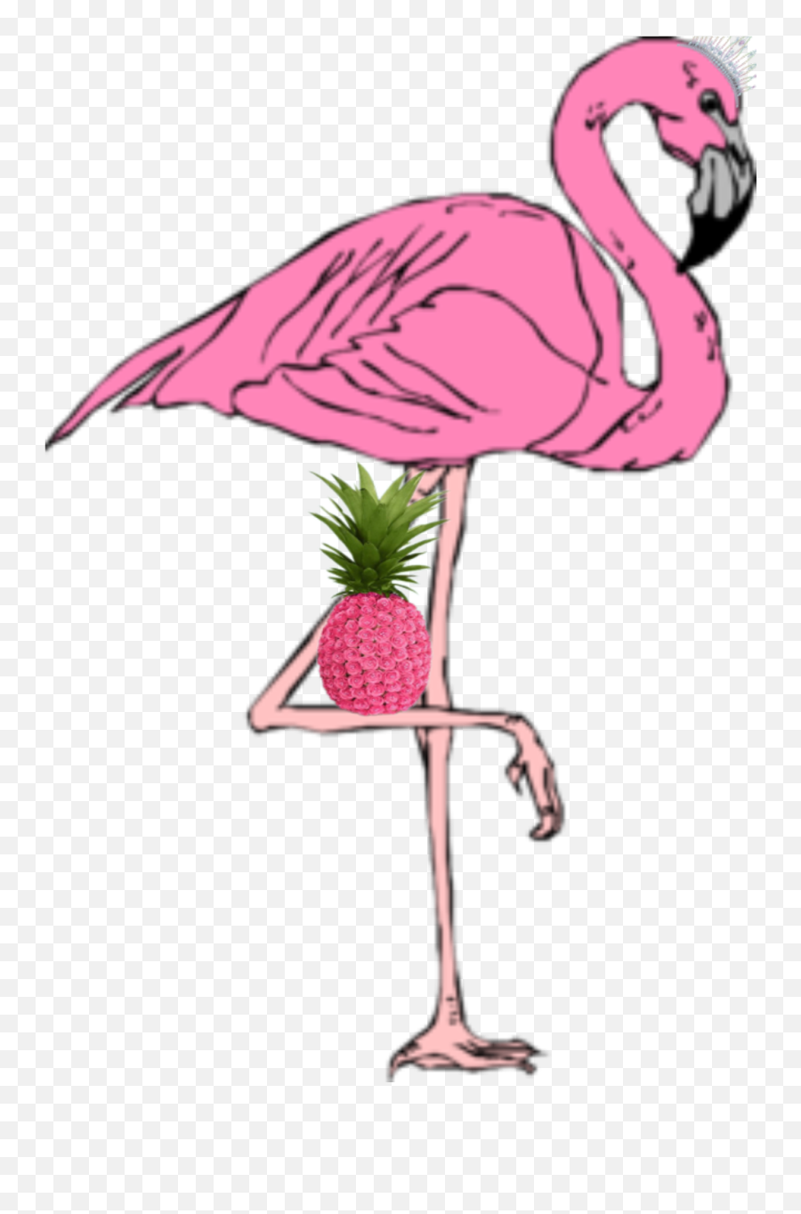 Flamingo With Bent Leg Clipart - Pink Flamingo Emoji,Flamingo Emoji