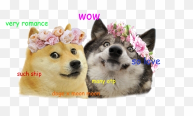 A Linguist Explains The Grammar Of Doge - Moon Moon And Doge Emoji,Doge Emoji