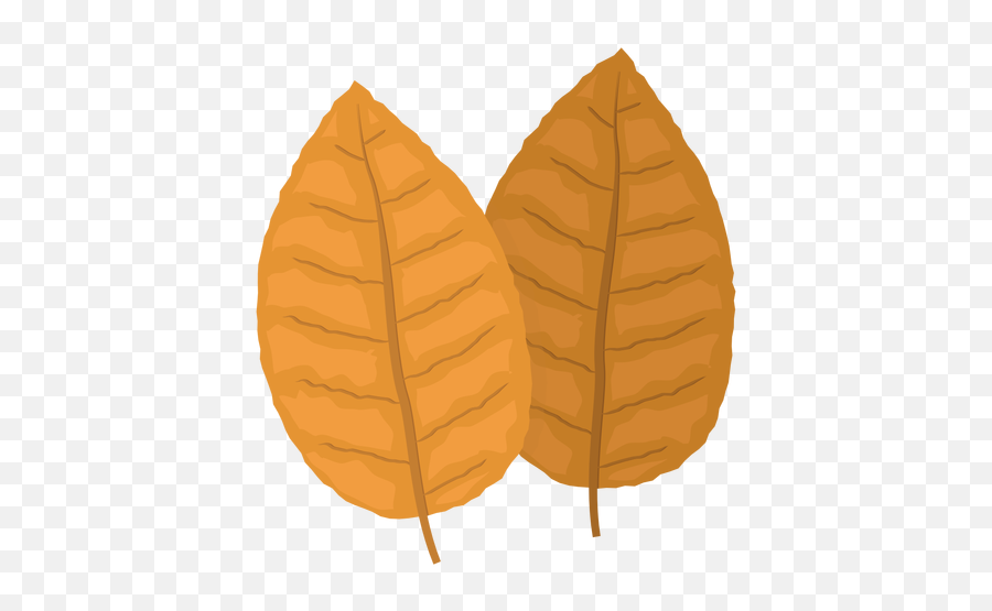 Tobacco Png - Tobacco Leaf Png Emoji,Cigar Smoking Emoji
