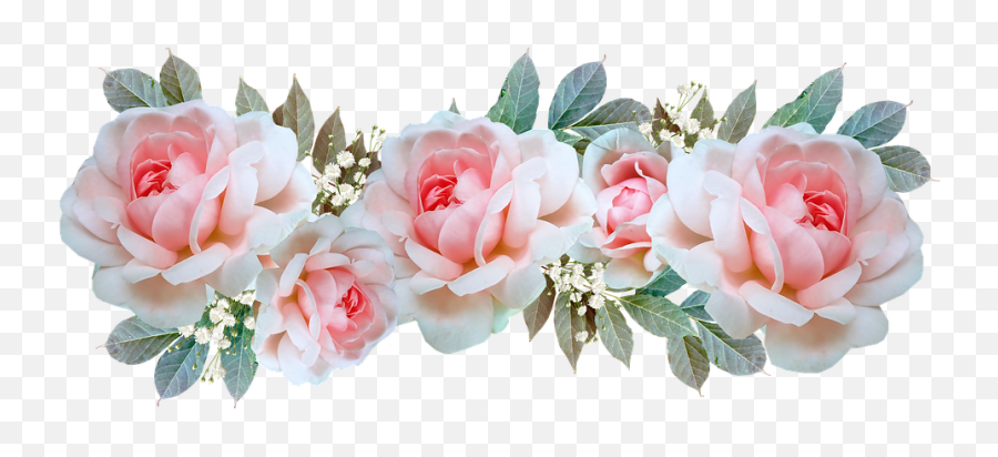 Flowers Pink Roses - Garden Roses Emoji,Japanese Emoji Flower
