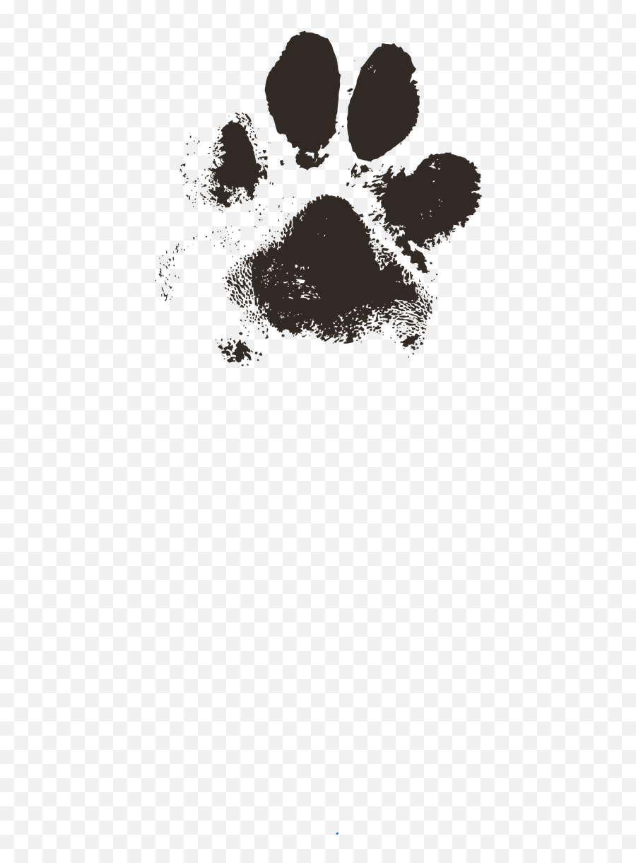 Dog Paw Paw Print Paw Prints Dog Vector - Dog Paw Print Emoji,Paw Print Emoticon
