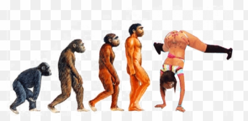 Funny Edit Stickers For Android Ios - Twerk Evolution Emoji,Bodybuilding Emoticons
