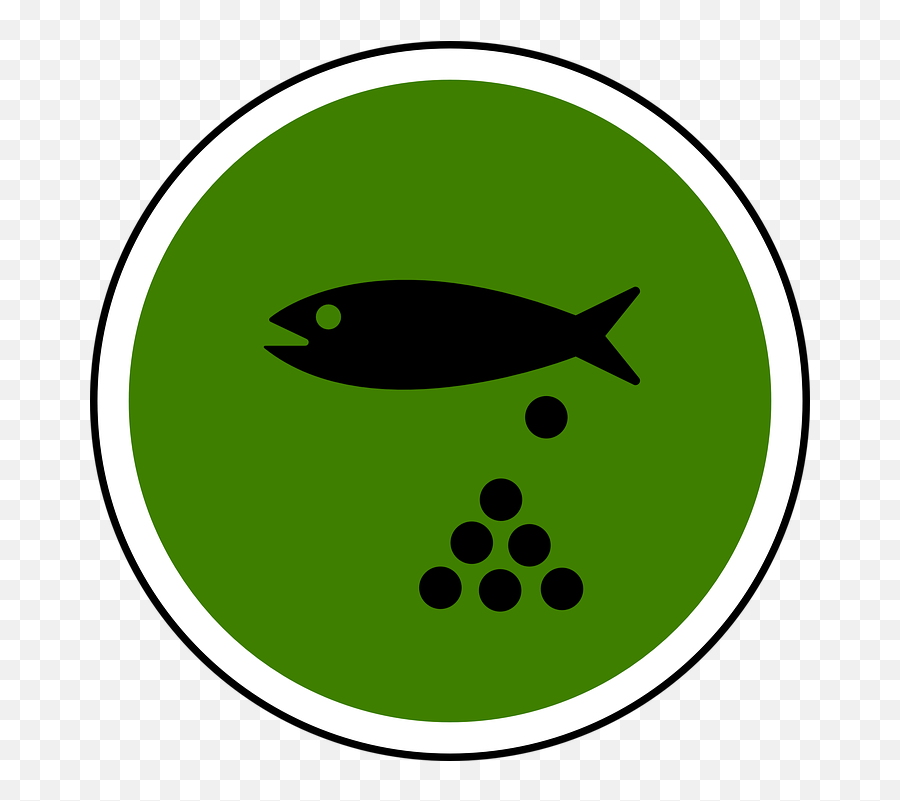Fish Pond Water Spawning Nature - Fish Emoji,Koi Fish Emoji